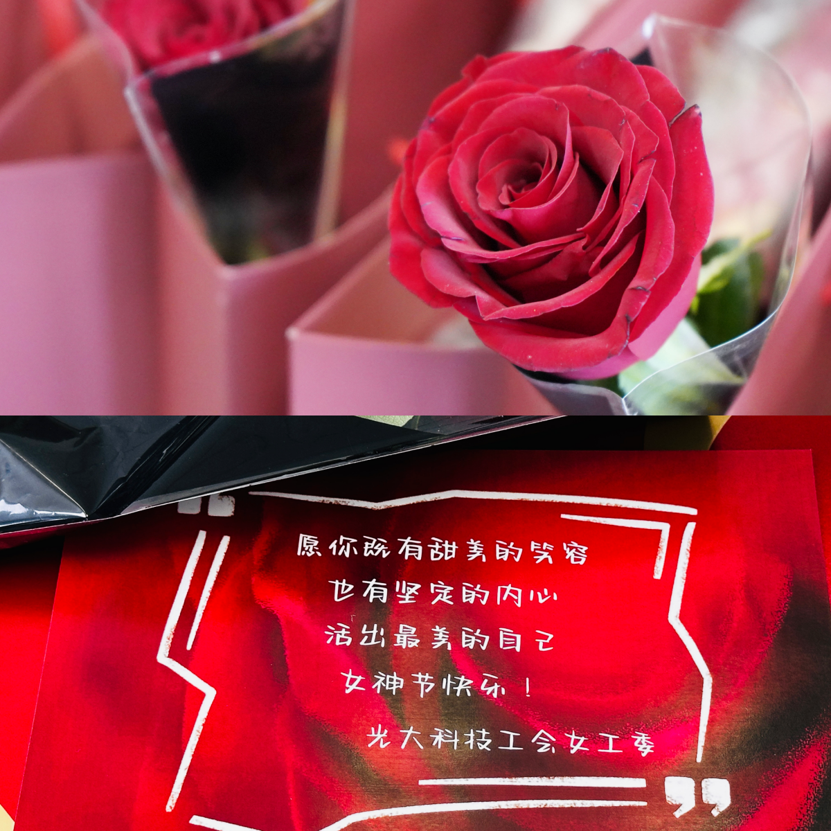 xc sports(中国区)-官方网站