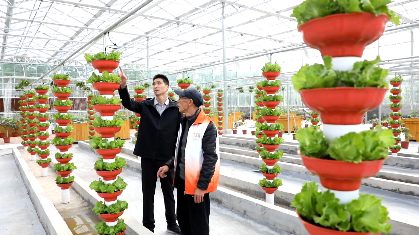 xc sports(中国区)-官方网站