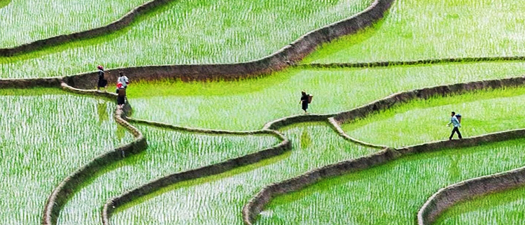 xc sports(中国区)-官方网站